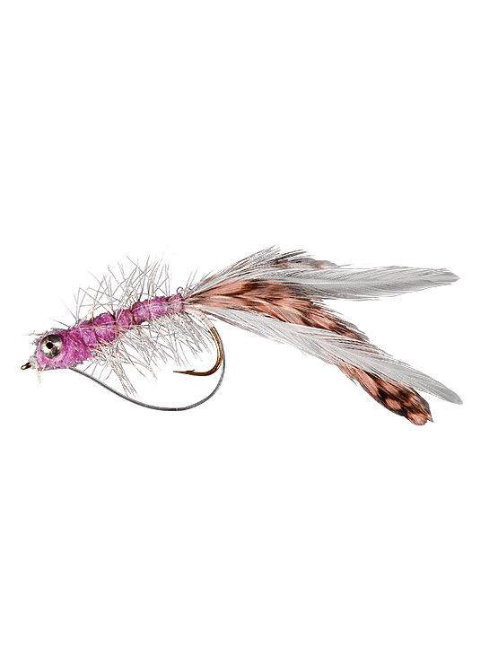 Eelworm Streamer-Purple